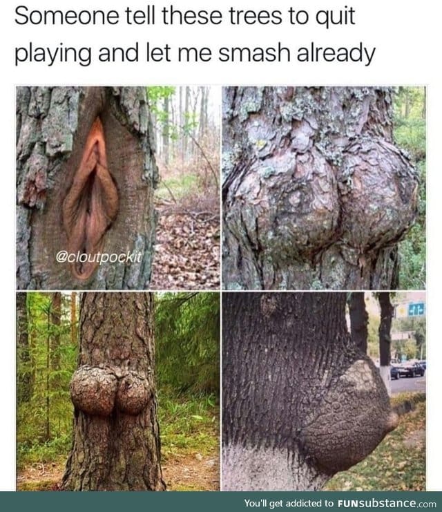 Why is nature so sexy