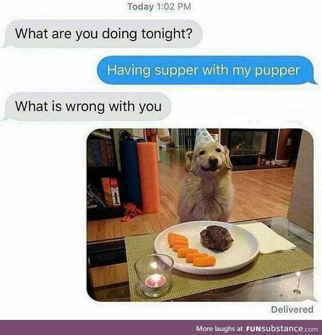 Pupper supper