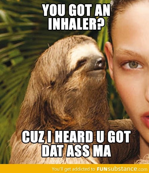 Seductive sloth is getting smoother