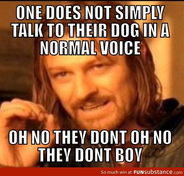 Talking to dogs