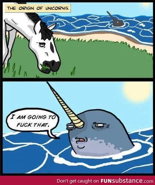 The origin of unicorns