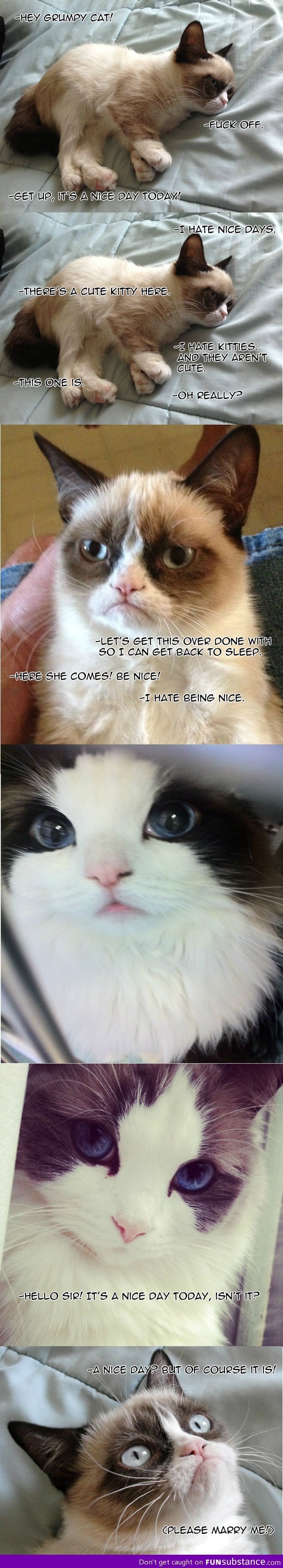Even Grumpy Cat has been charmed