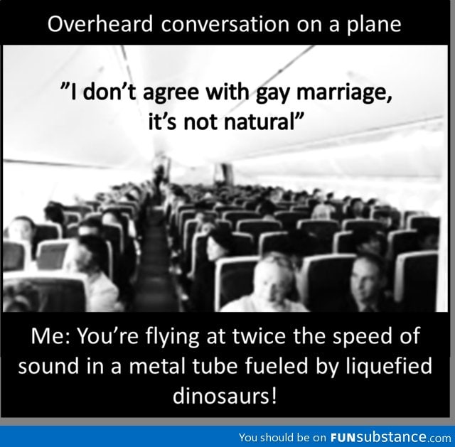 Overheard conversation on a plane!