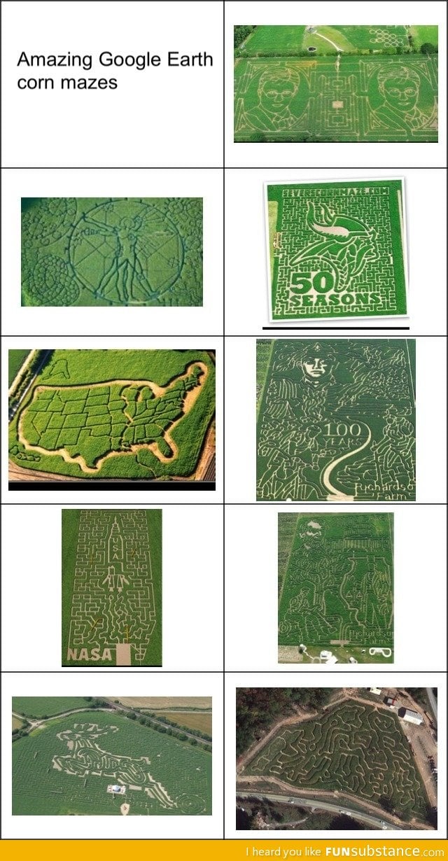 Corn maze art