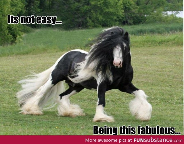 Its not easy being this fab!