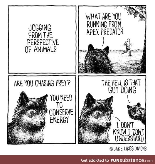 Jogging from the perspective of animals