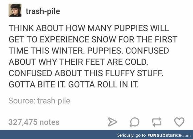 Think about the puppies