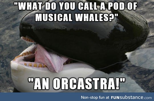 Whale puns