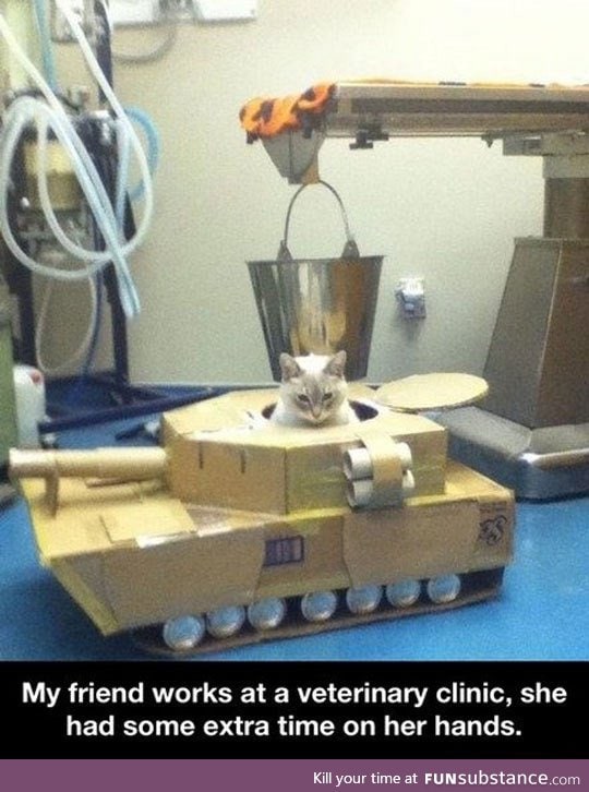 Kitty tank