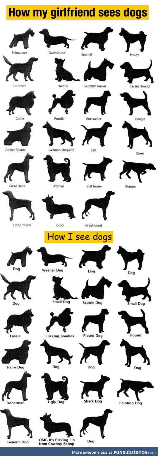 The way we see dogs