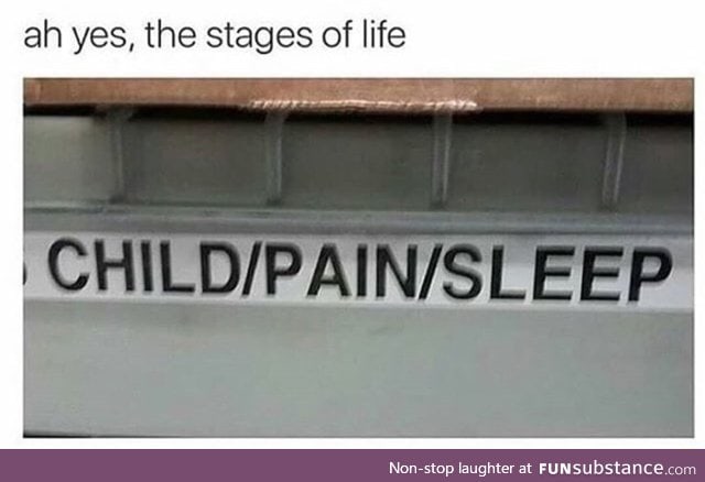 3 stages of life