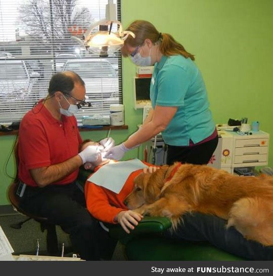 Dog helps boy get over his fear at the dentist