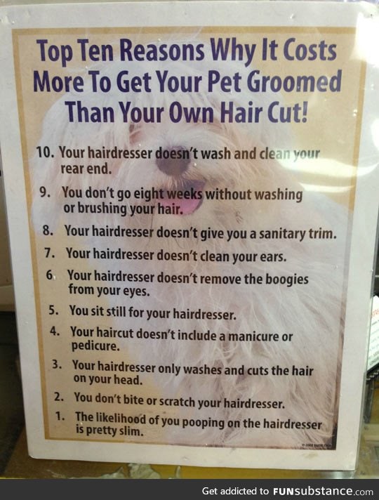 Why taking your dog to the groomer is a bit expensive