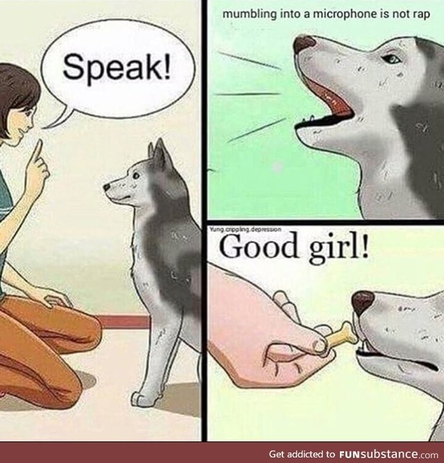 Wise doggo