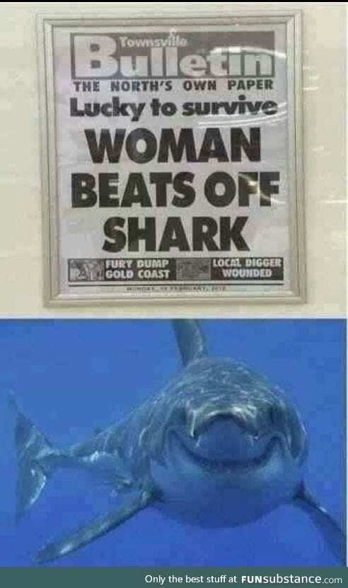 Lucky shark