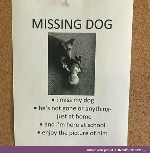 Dog people are crazy