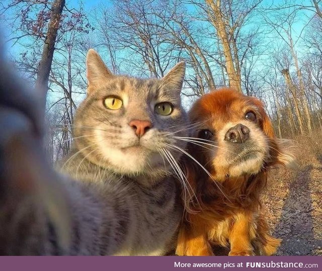 A casual selfie between two friends