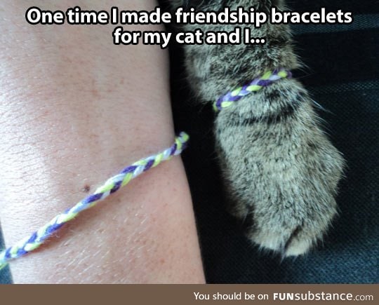 Friendship bracelet win