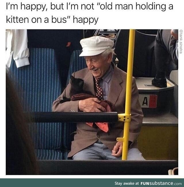 A comforting kind of happiness