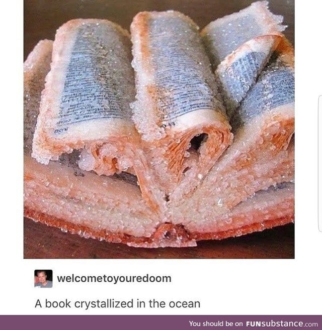 Crystallized book in the ocean