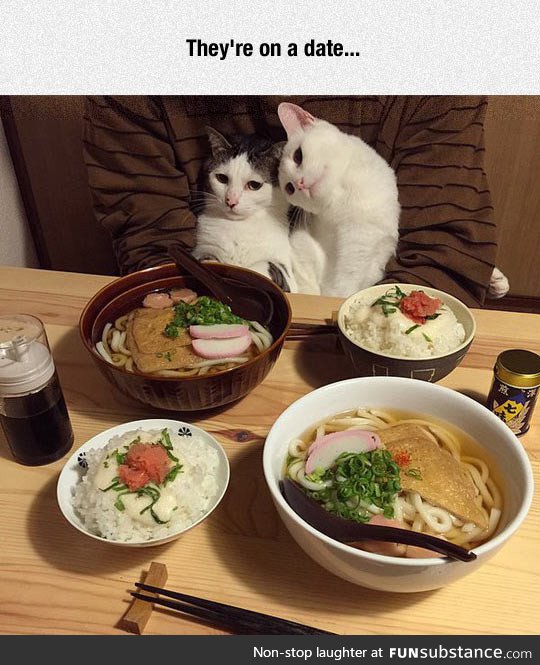 Kitty date