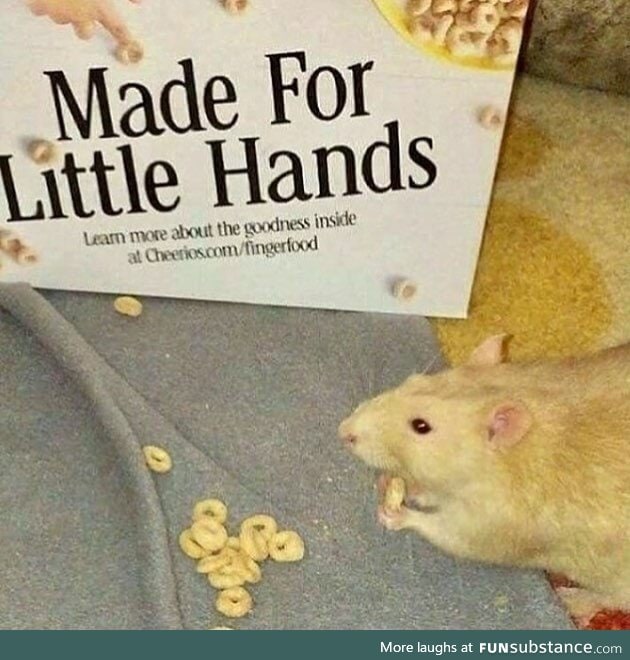 Mad for little hands