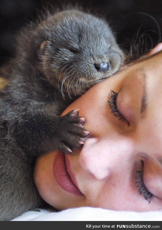 Her significant otter