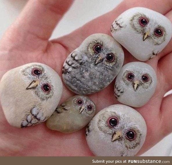 Owl stones