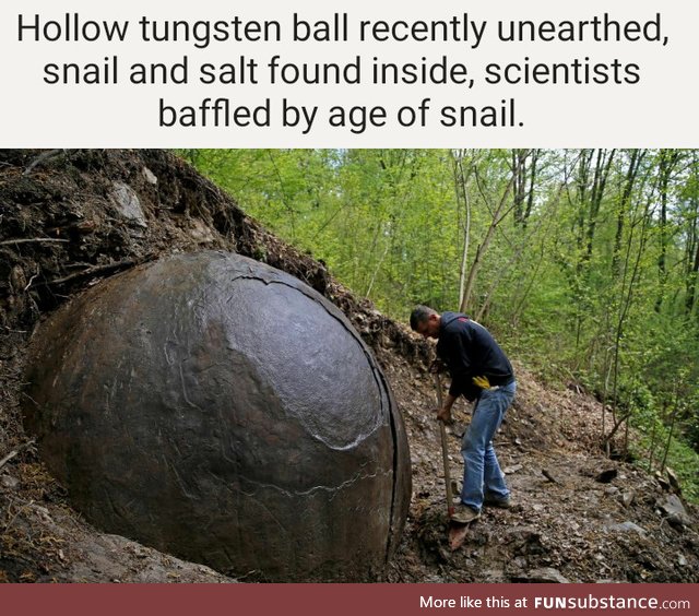 Immortal snail found In hollow tungsten ball