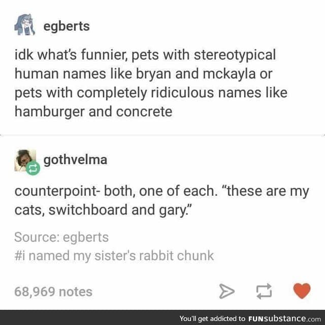 random pet name generator
