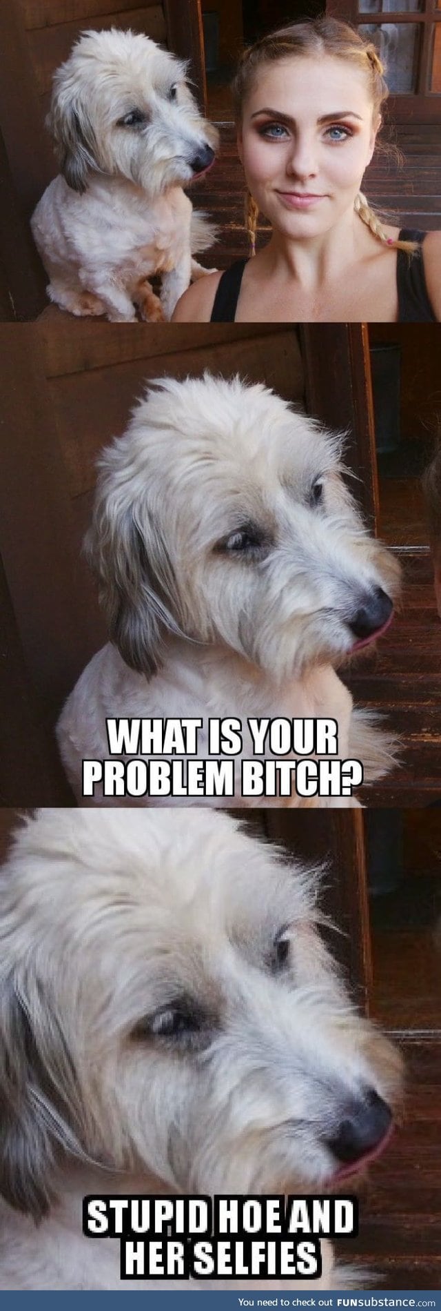 Doggo disapprove