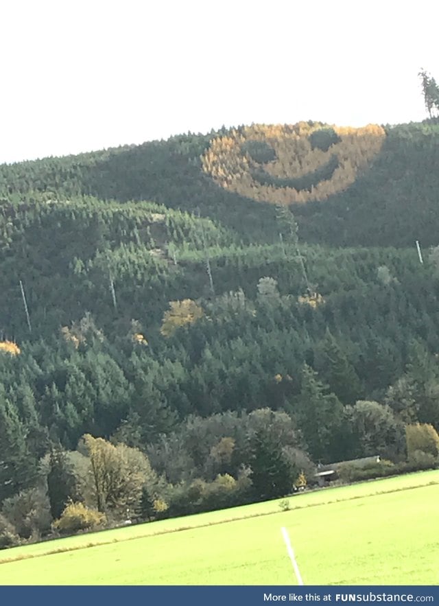 A happy hillside in Oregon