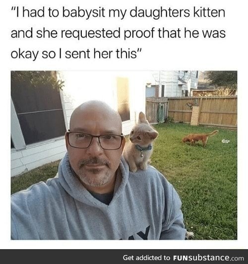 Kitty is ok