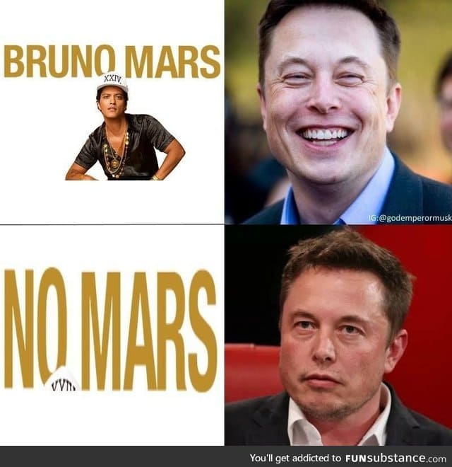 Did someone say more Elon Musk memes?