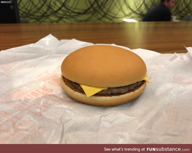 This perfect hamburger bun