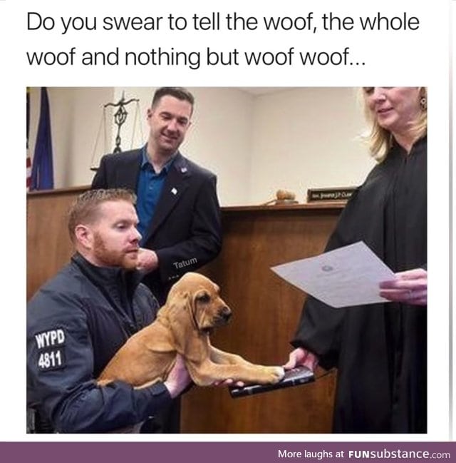 Only the woof