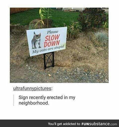 My mom has a similar sign, except it says kids