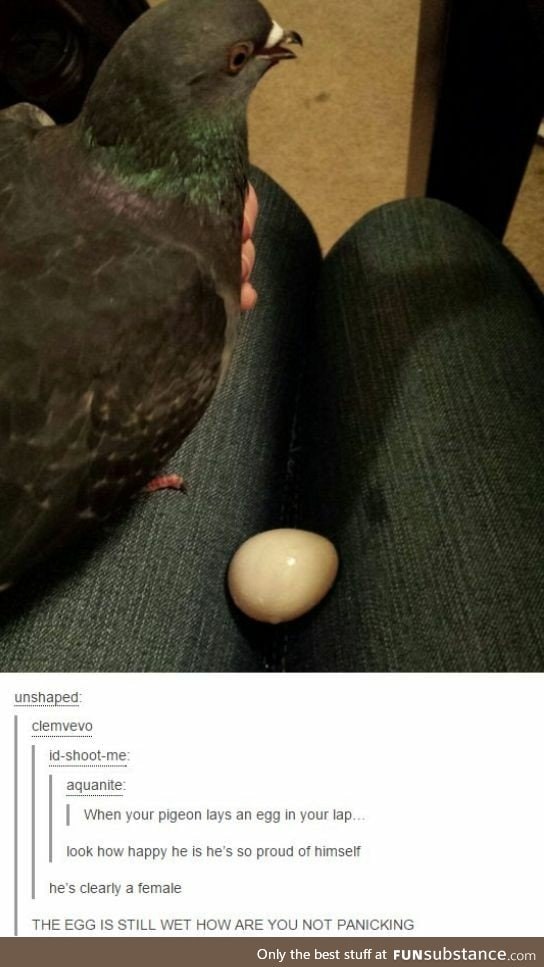 It's a wet egg