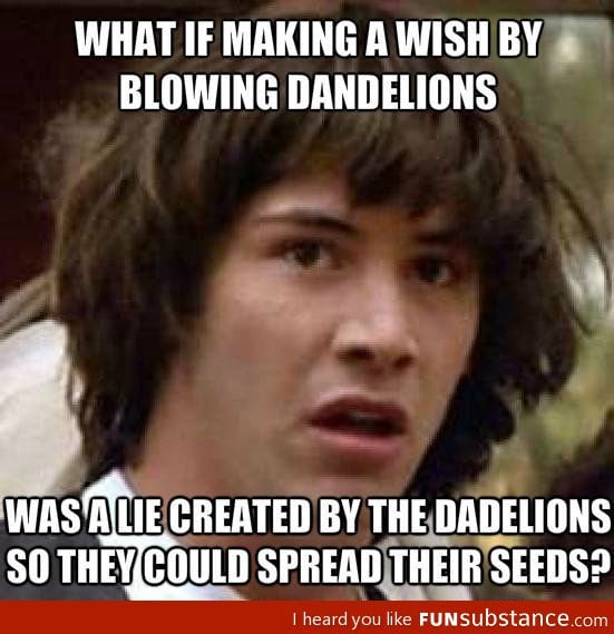 Dandelion conspiracy