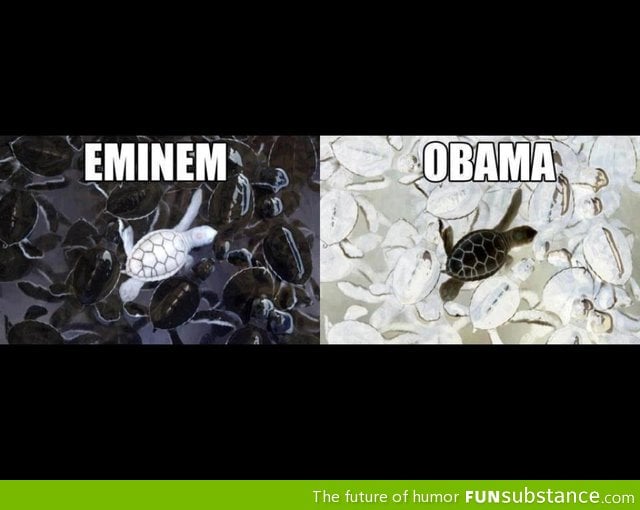 Eminem vs obama