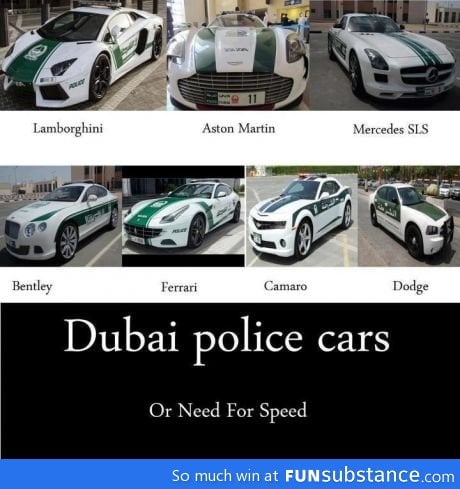 I wanna be a cop in Dubai