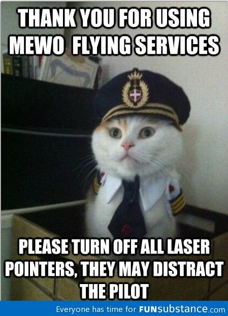meow airlines..