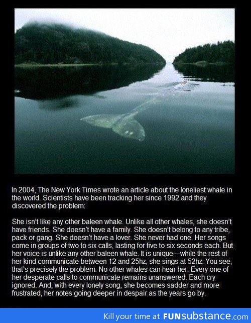 Depressed whale feels