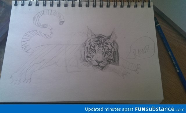 So i tried to finish up my girlfriend's drawing of a tiger