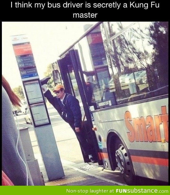 Kung fu bus driver