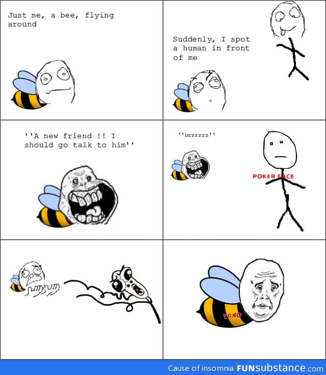 Hard life of a bee