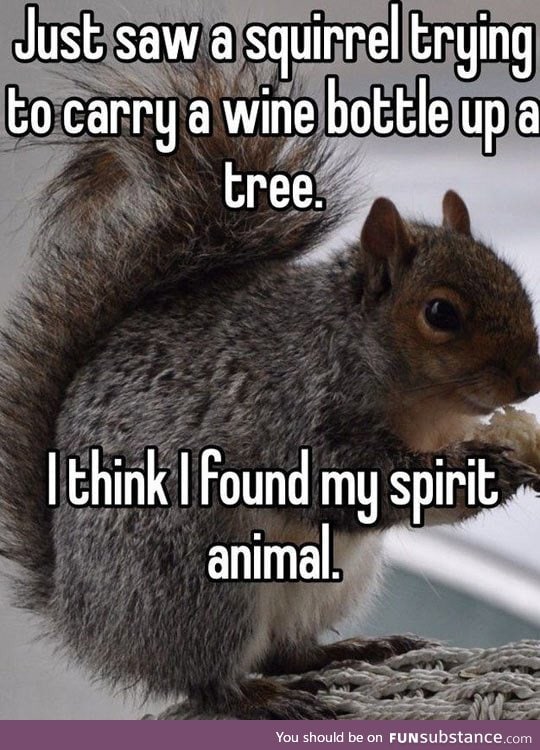 Wine bottle squirrel