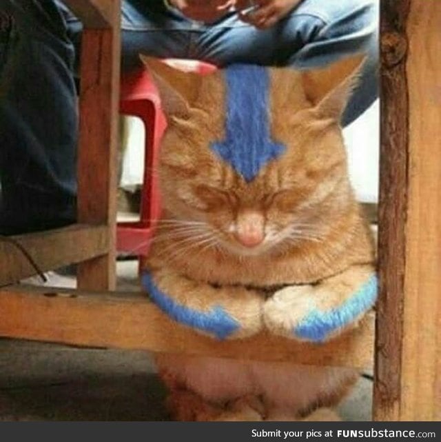 The last catbender