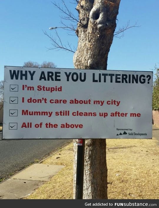 Reasons for littering