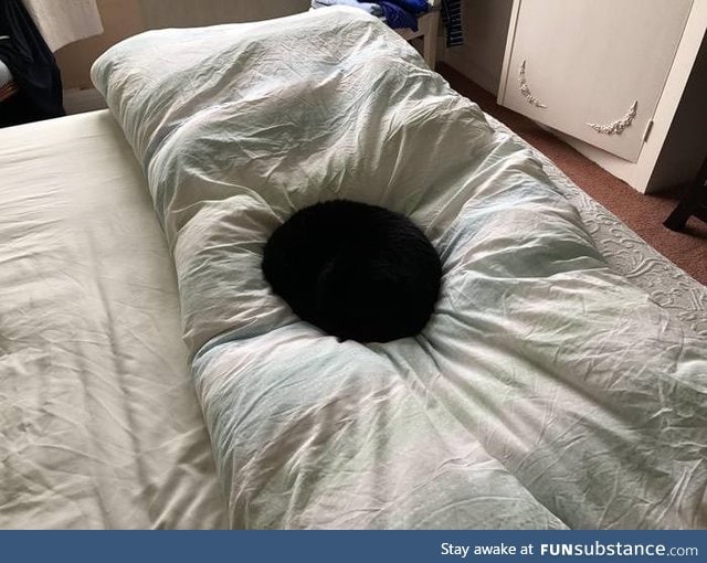 Cat is sleeping or cub of a black hole